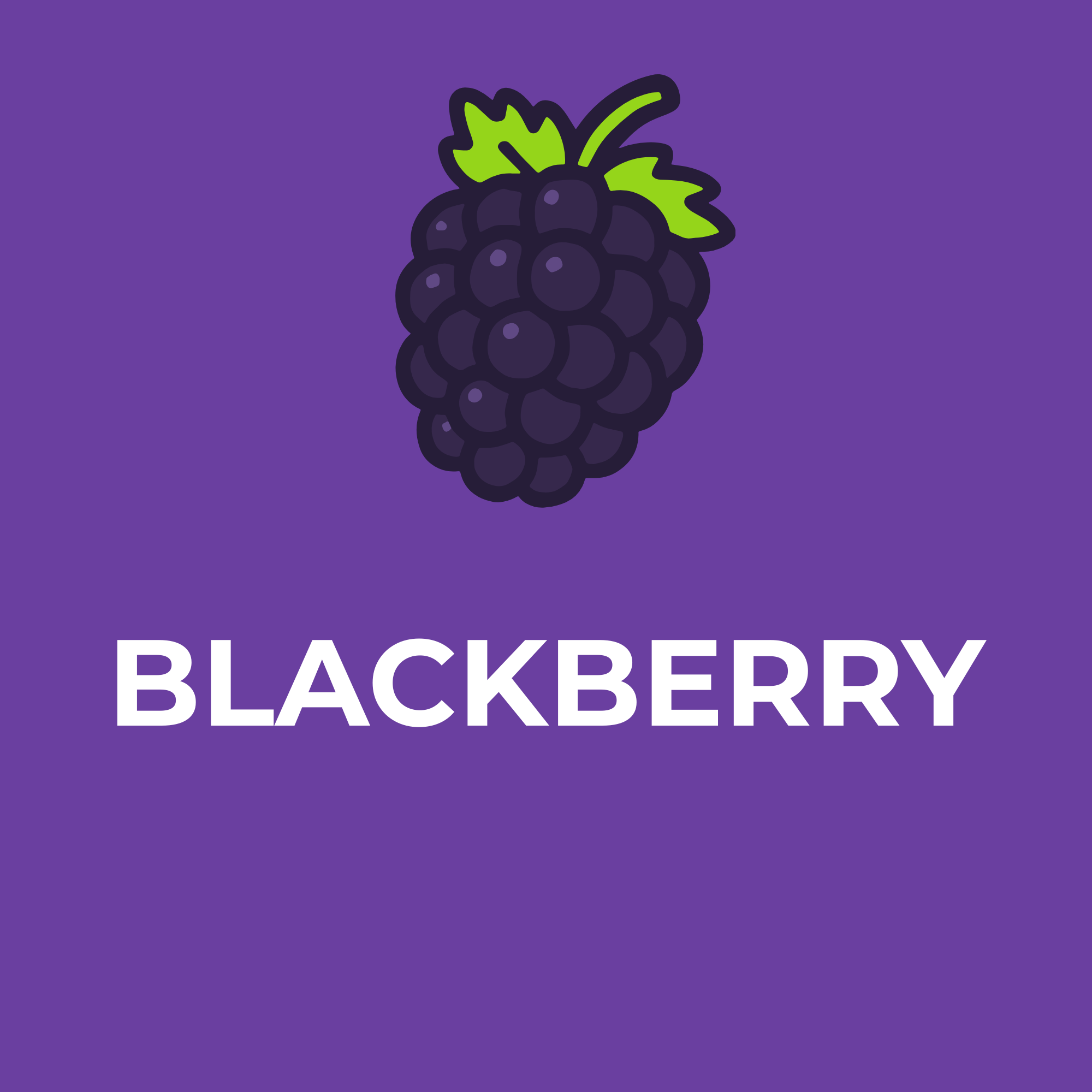 Blackberry Snow Cone Flavor Concentrate