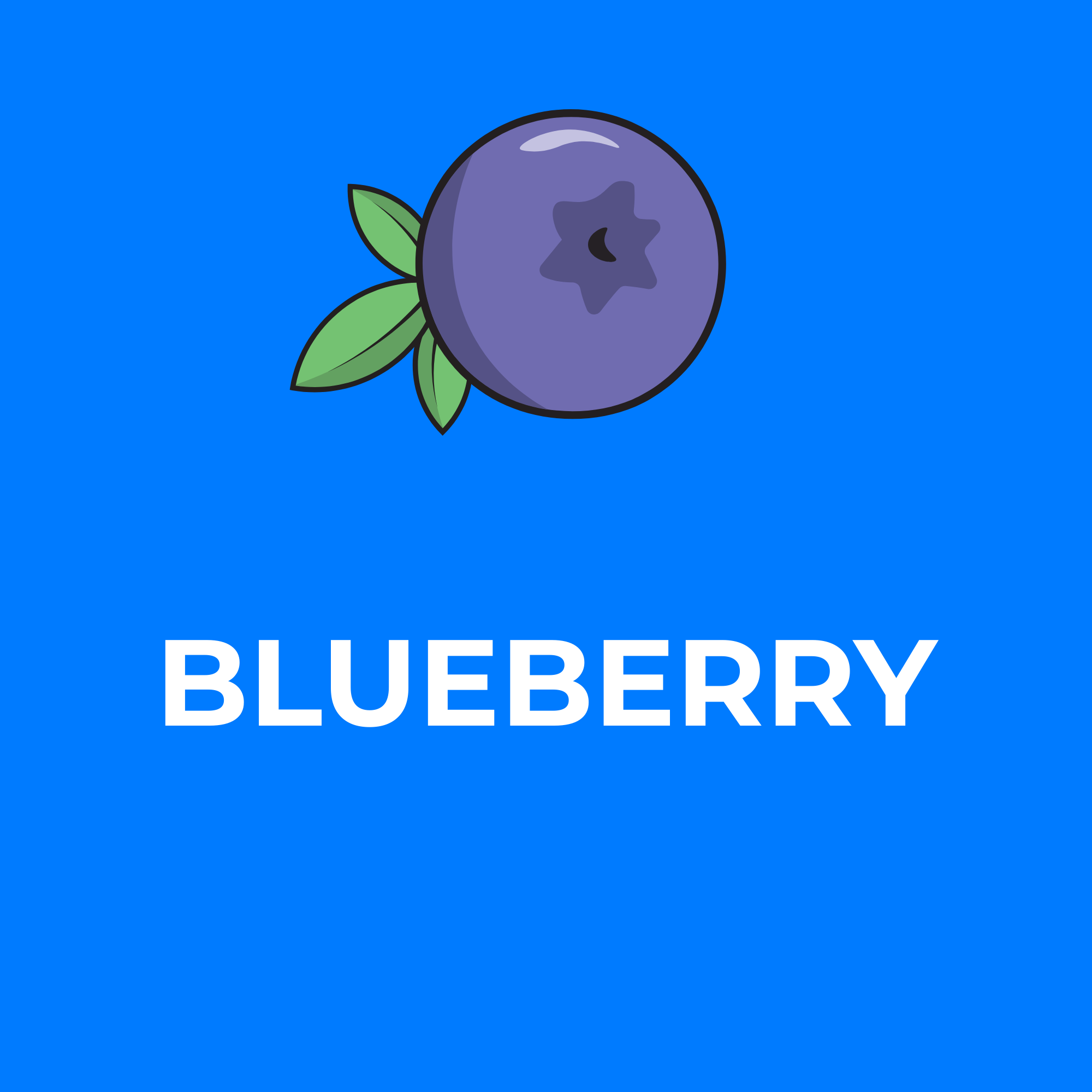 Blueberry Snow Cone Flavor Concentrates