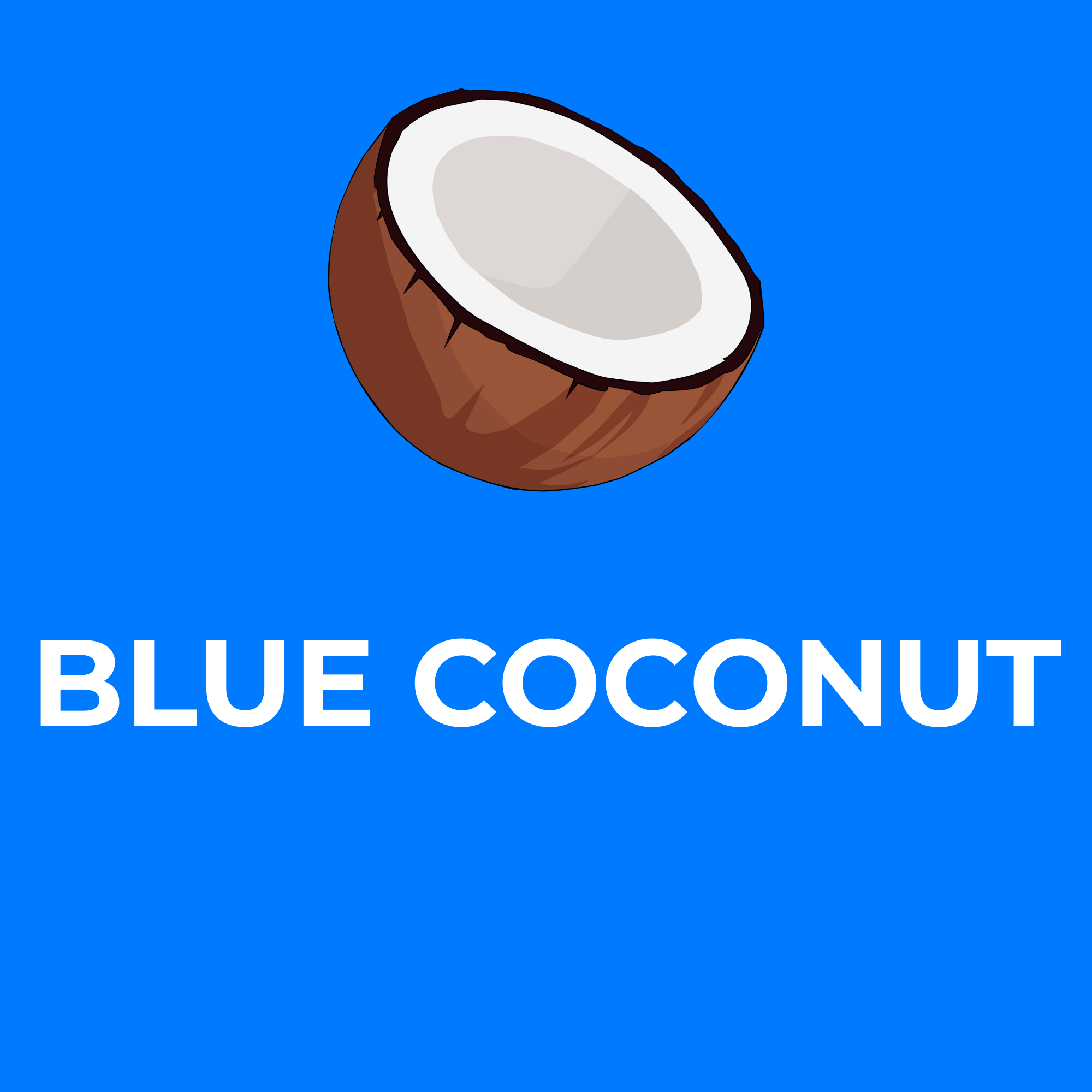 Blue Coconut Snow Cone Flavor Concentrate