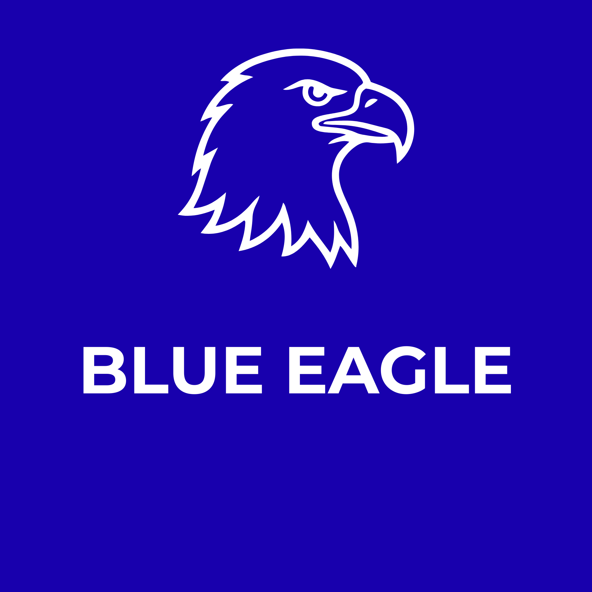 Blue Eagle Snow Cone Flavor Concentrate