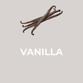 Vanilla Snow Cone Flavor Concentrate