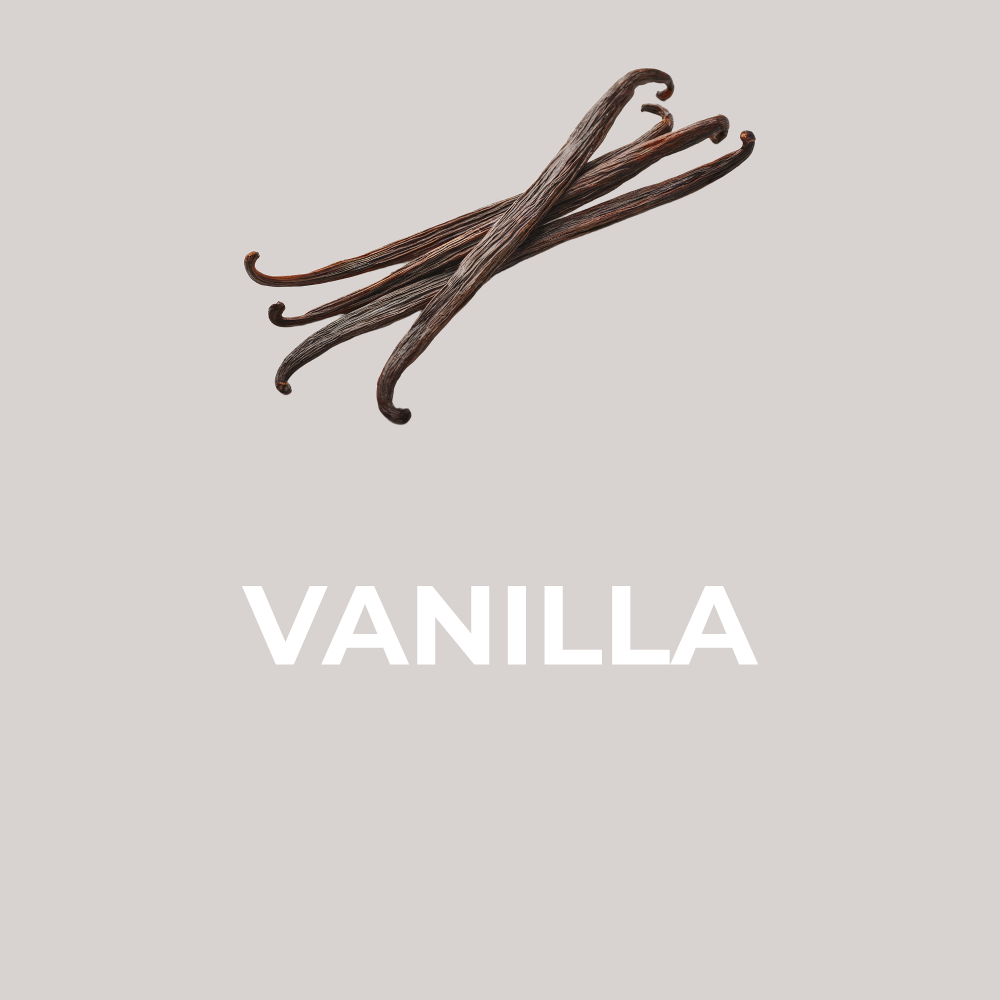 Vanilla Snow Cone Flavor Concentrate